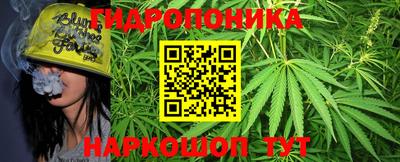 ПСИЛОЦИБИНОВЫЕ ГРИБЫ Усть-Джегута
